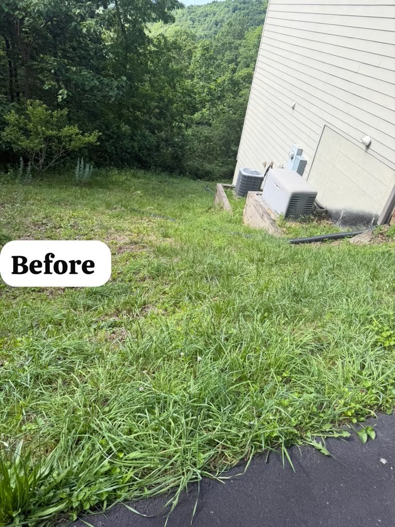 Weed trimming project photograph 6